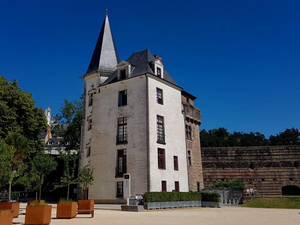 20210613_113914 v.jpg