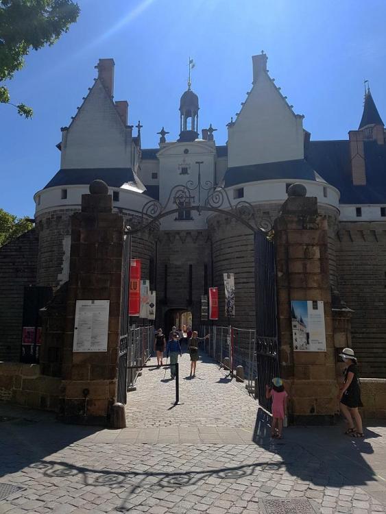 20210613_113536 v.jpg