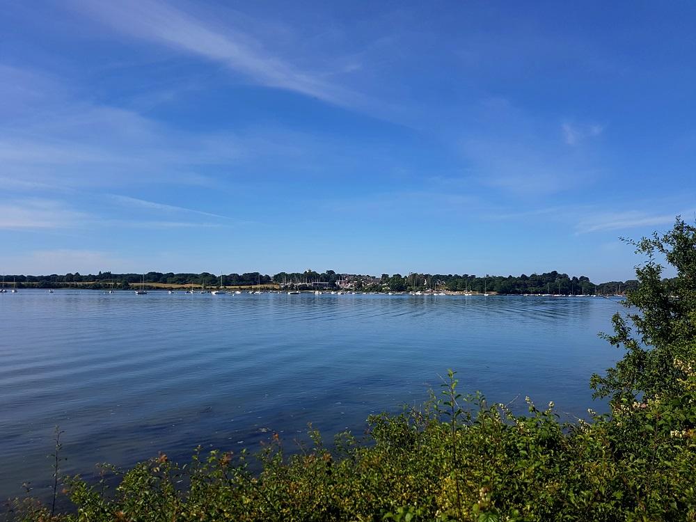 20210614_100515 v.jpg