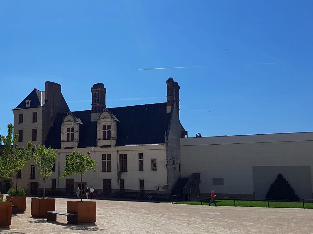 20210613_113725 v.jpg