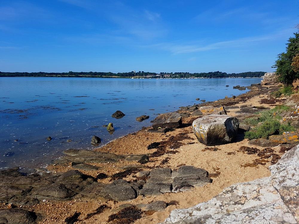 20210614_095347 v.jpg