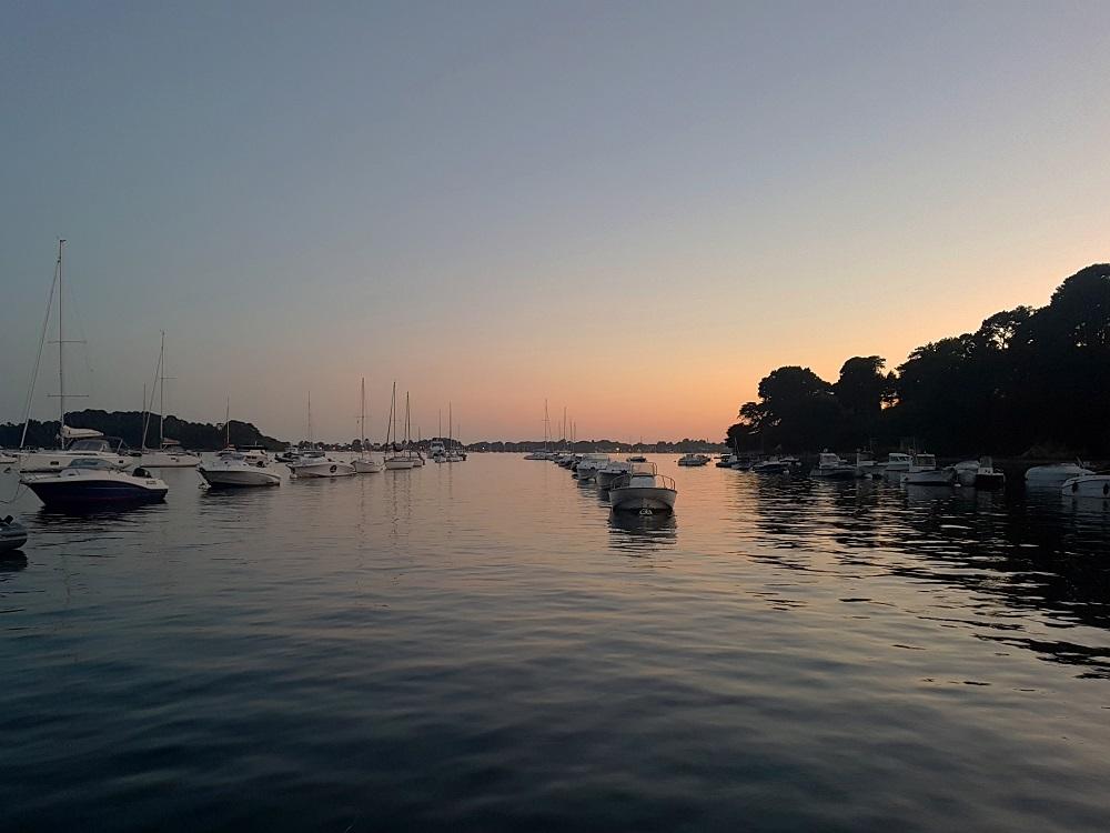 20210615_223319 v.jpg