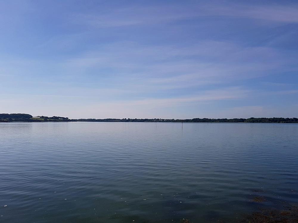 20210614_095106 v.jpg