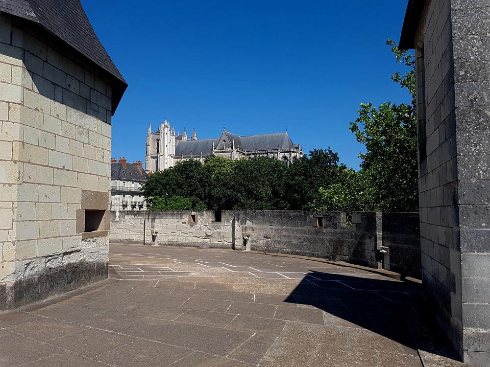 20210613_115228 v.jpg