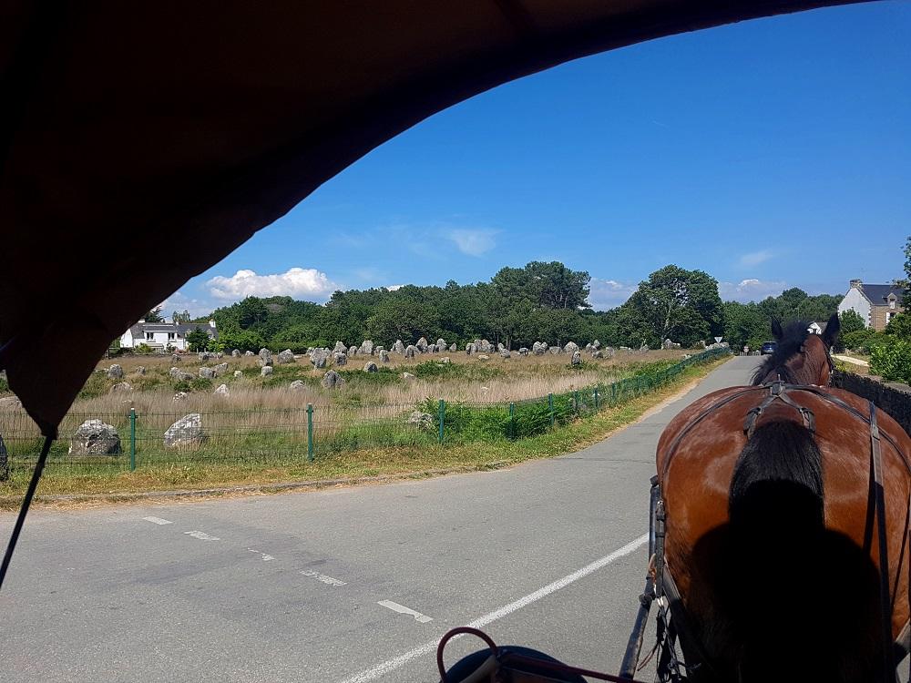 20210614_161905 v.jpg