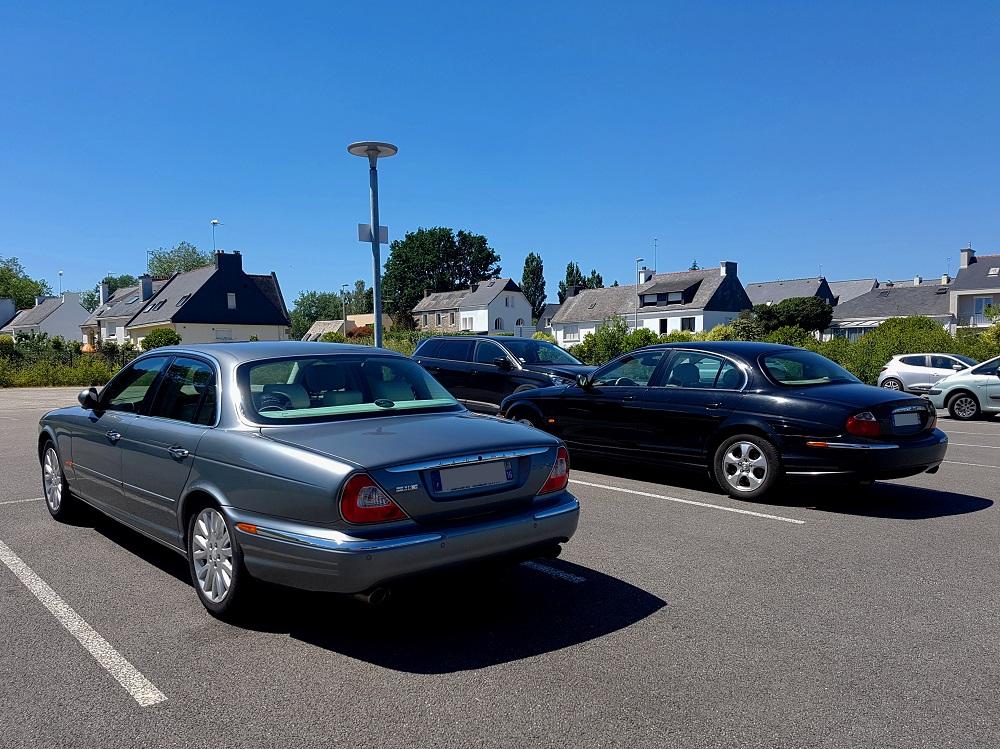 20210613_155228 v.jpg