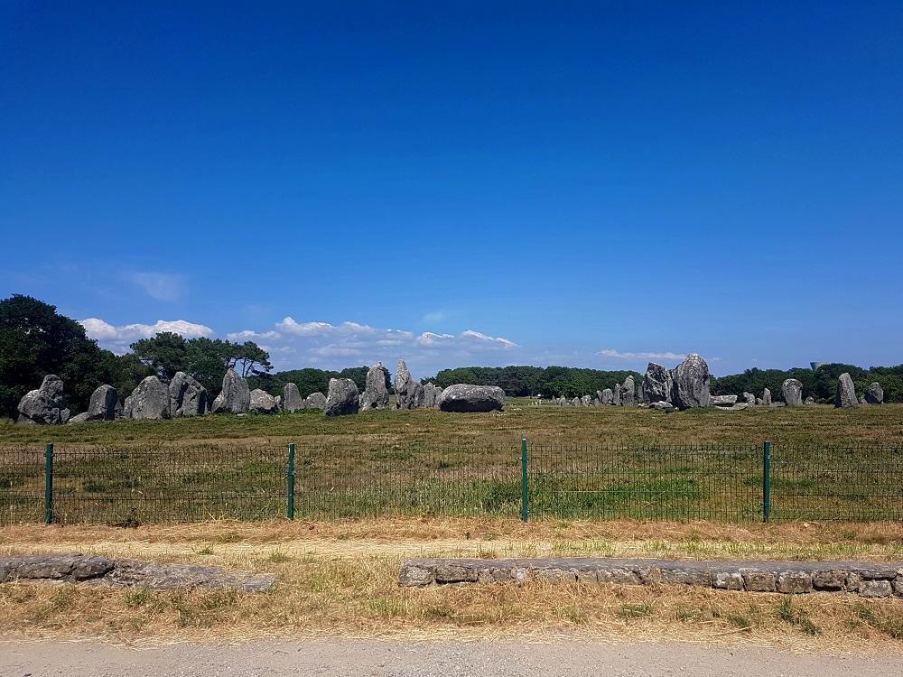 20210614_162642 v.jpg