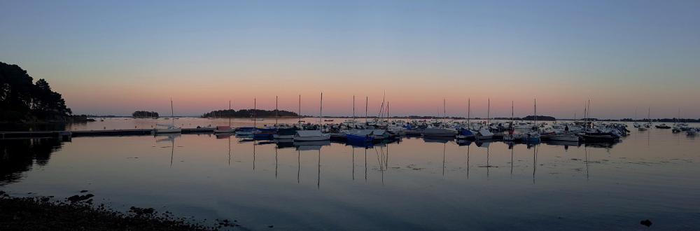 20210615_220326 v.jpg