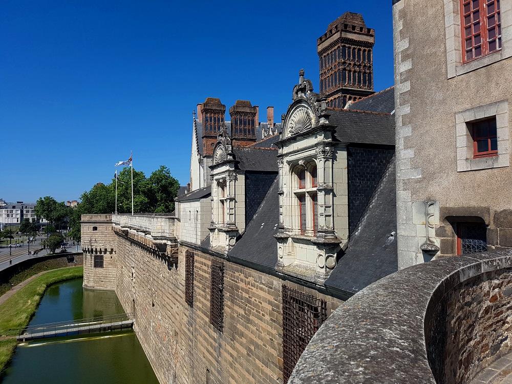 20210613_114826 v.jpg