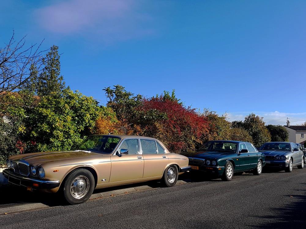 B 20211128_111404 v.jpg