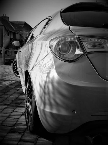 -Remus- Nov 2021.jpg