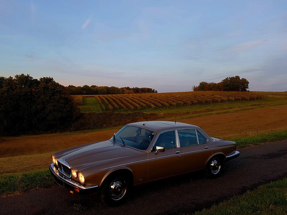 E20211030_184413 vv.jpg