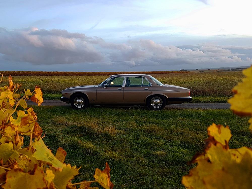 D20211030_184927 v.jpg