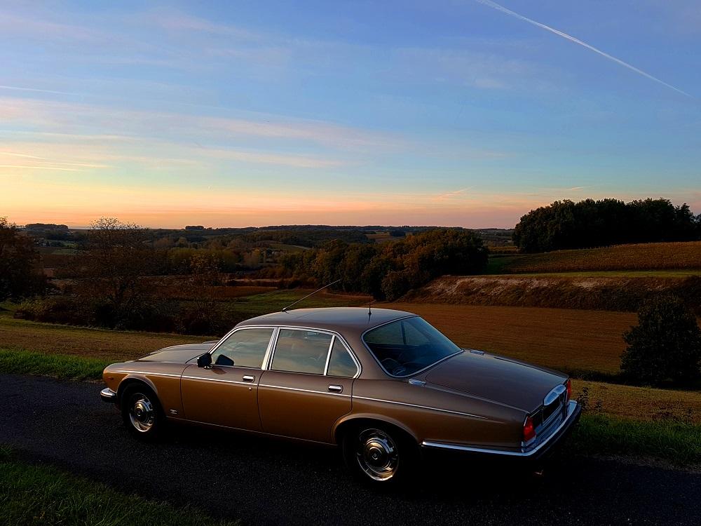 F20211030_184450 v.jpg