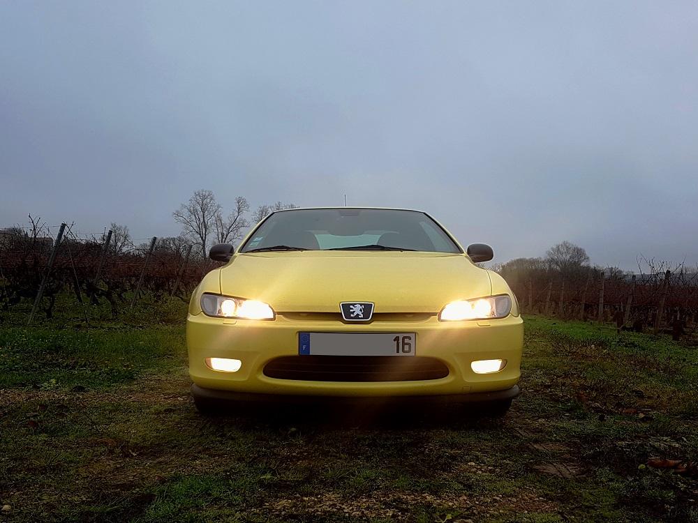 y 20211212_105612 v.jpg