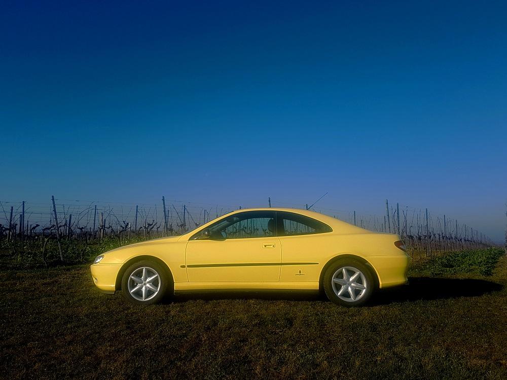 20220123_103231 v.jpg