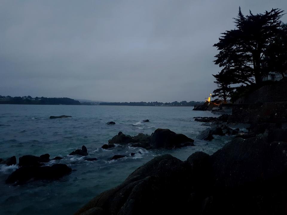 20220619_224213 v.jpg