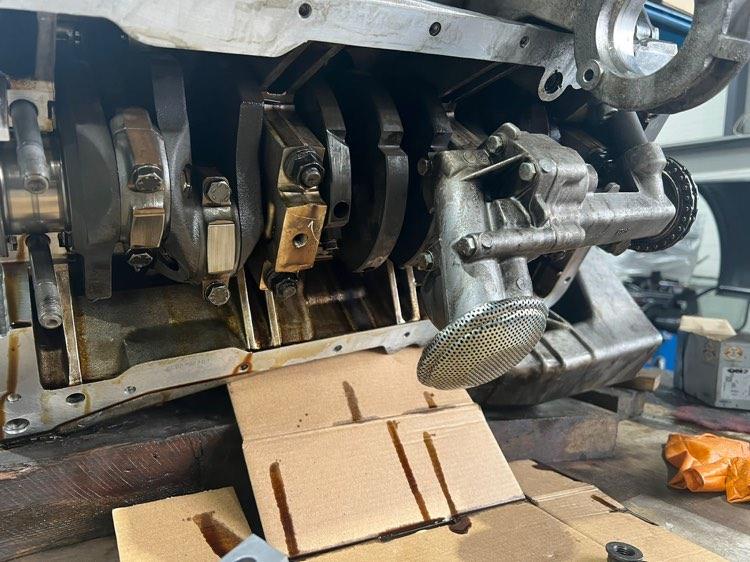 311371290_1136089823761219_7999209548165377124_n (1).jpg