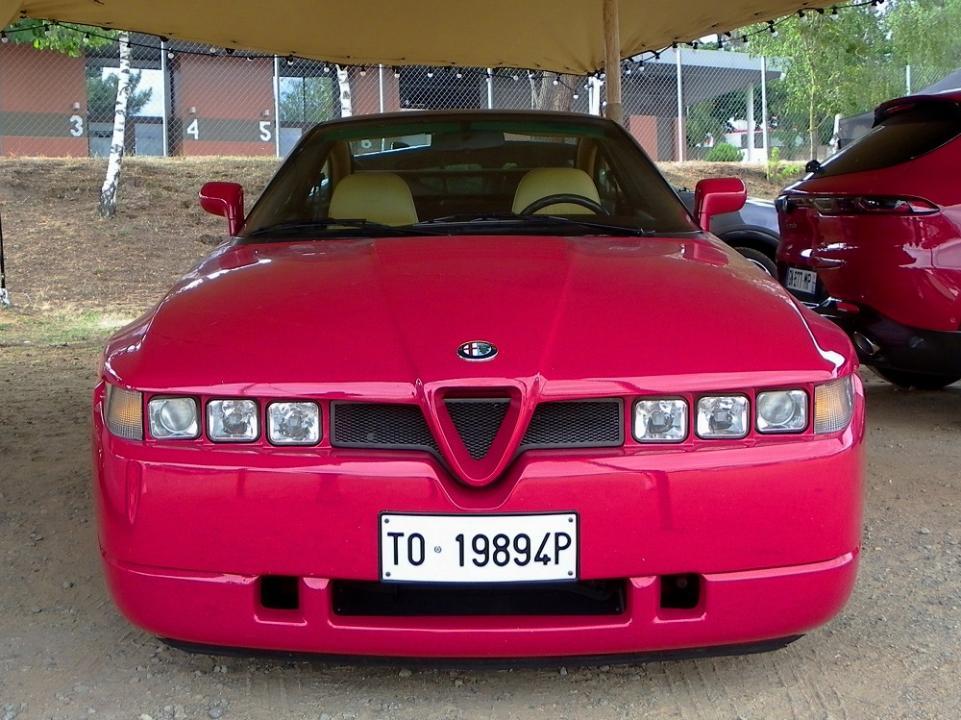 IMGP0311 v.JPG