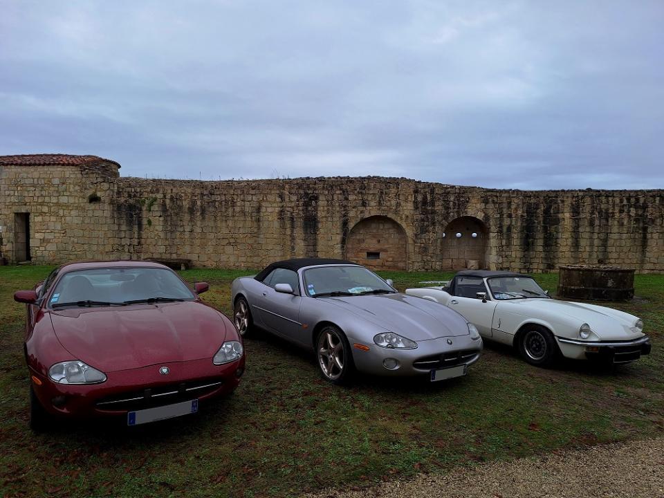 20231029_121257 v.jpg