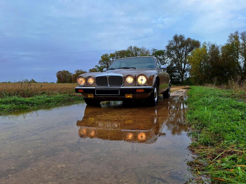 20231111_145426 v.jpg