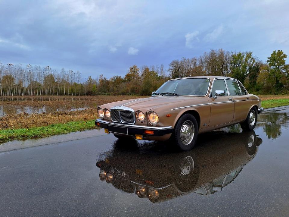 20231111_150548 v.jpg