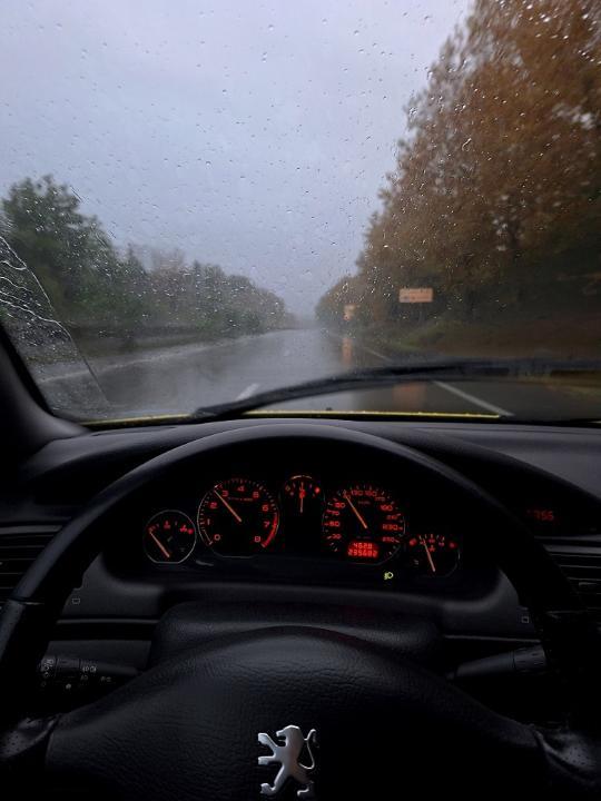 20231029_075546 v.jpg