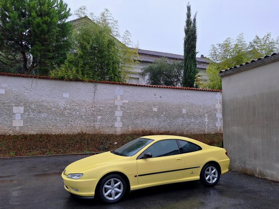 20231029_082951 v.jpg