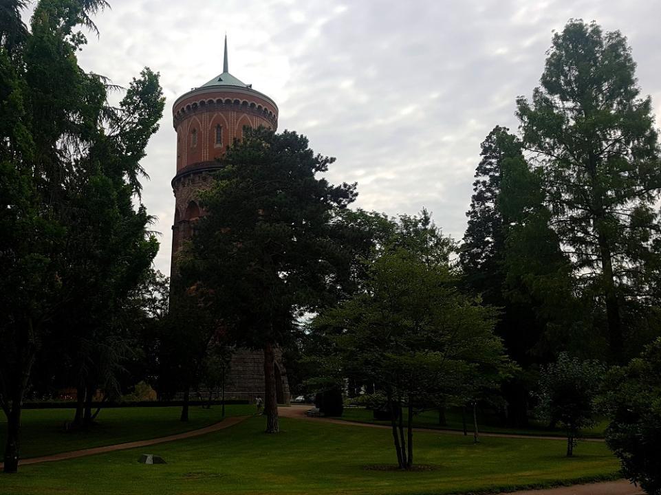 20210709_101108 v.jpg