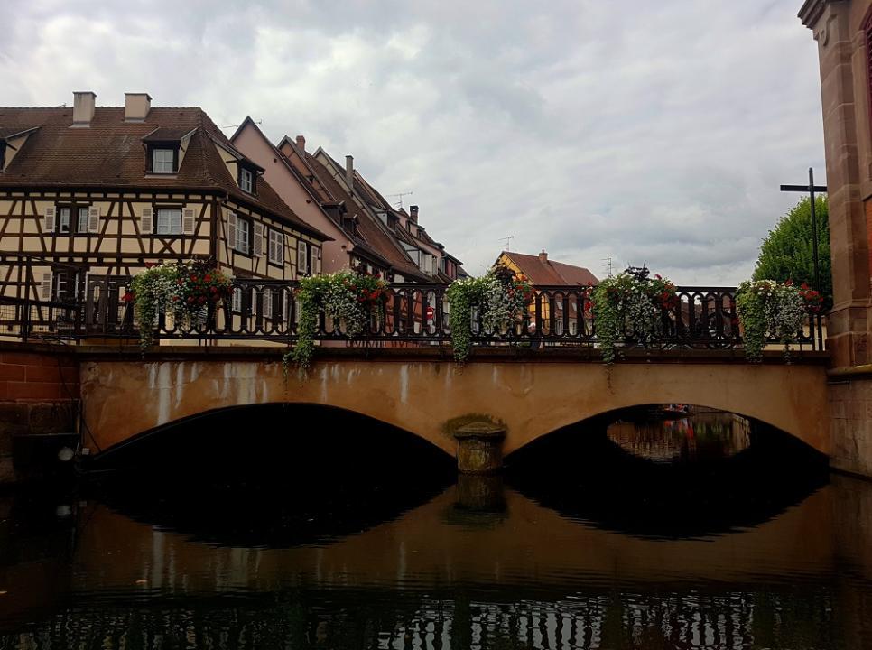20210709_104049 v.jpg