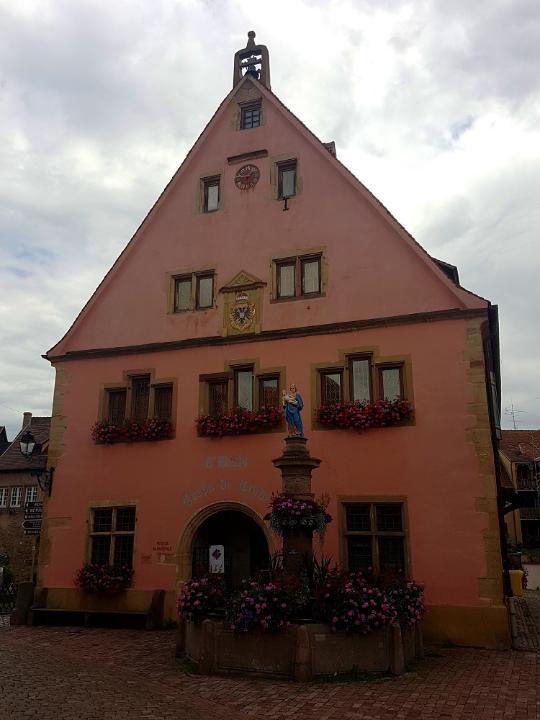 20210709_134751 v.jpg