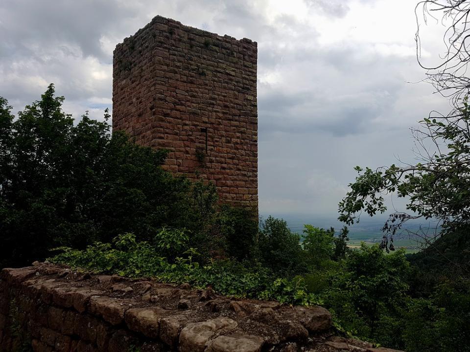 20210709_150803 v.jpg