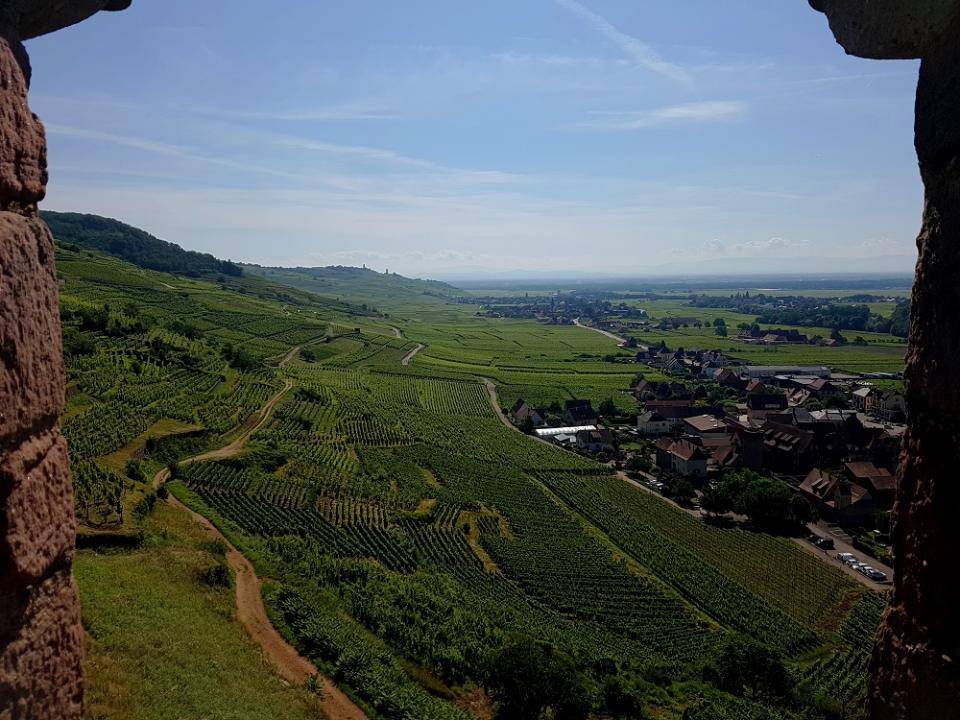 20210710_101530 v.jpg