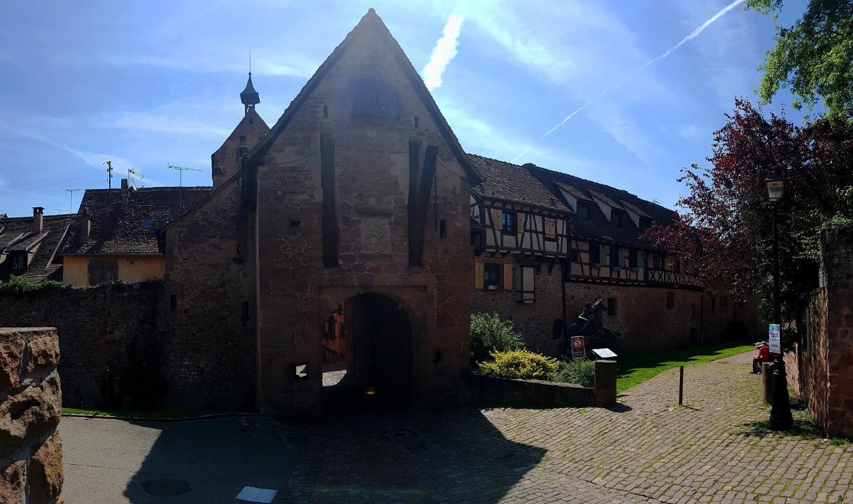 20210710_111423 v.jpg