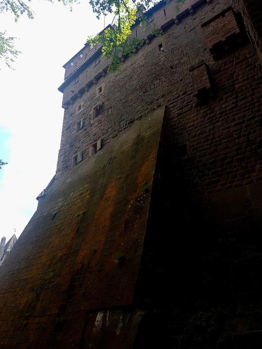 20210710_140330 v.jpg