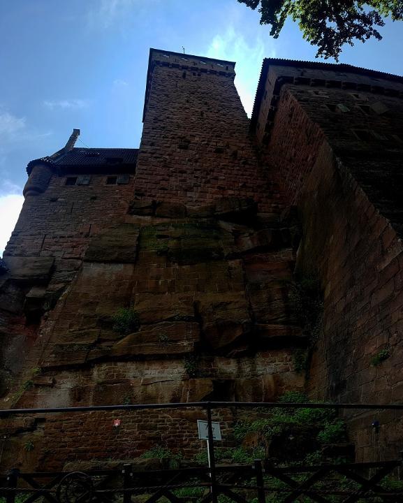 20210710_140935 v.jpg