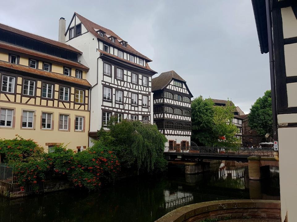 20210711_103722 v.jpg