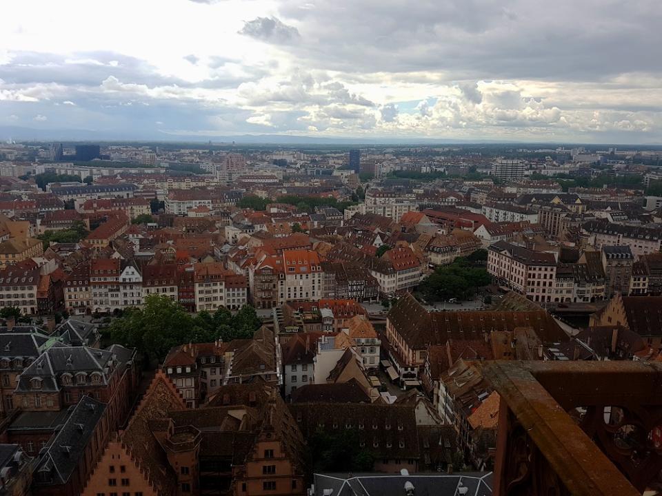 20210711_114646 v.jpg