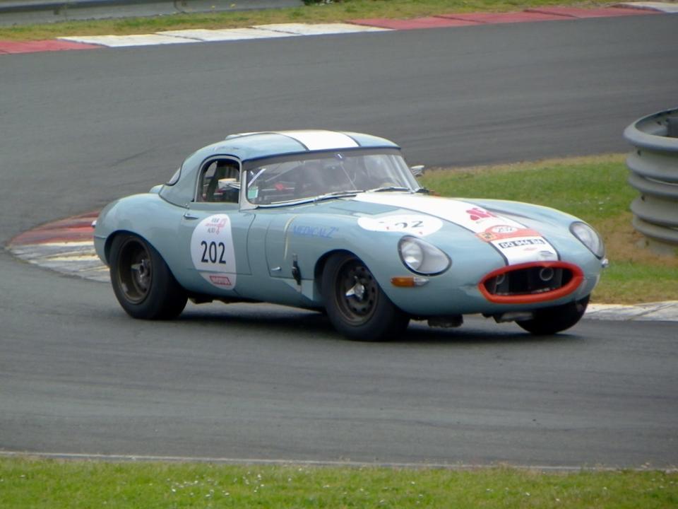 IMGP0185 v.JPG