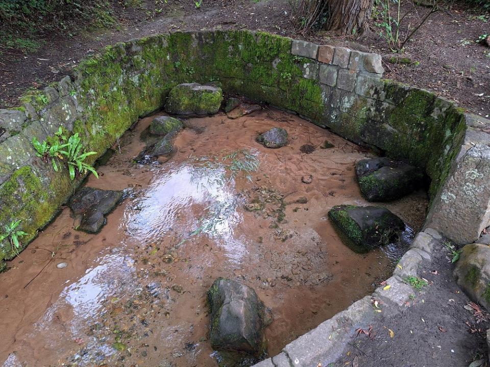 20240716_160543v.jpg.f7c9bbbd85d24794c02c65698e3d1ed3.jpg