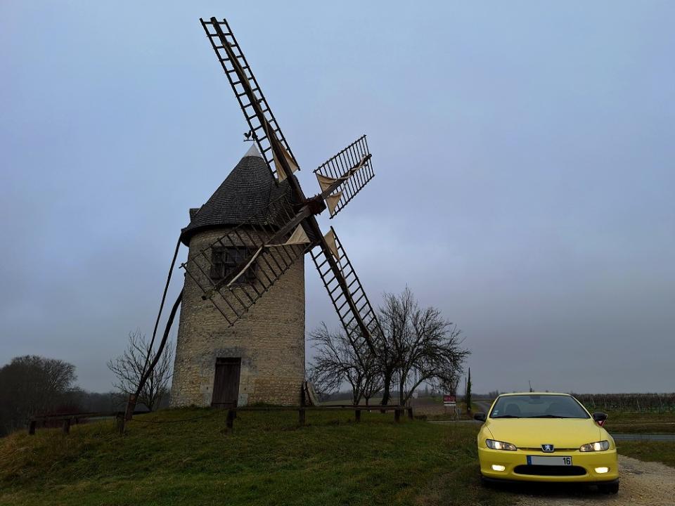 20250119_113101v.jpg.930f01377b0f6f808046cd6c6066f398.jpg