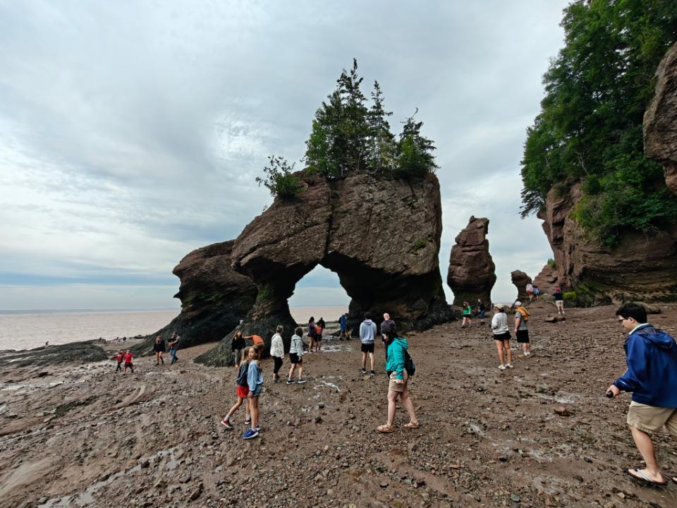 IMG20250724180243.jpg.af5493991ab0a22c6651f8f5ee9327ea.jpg