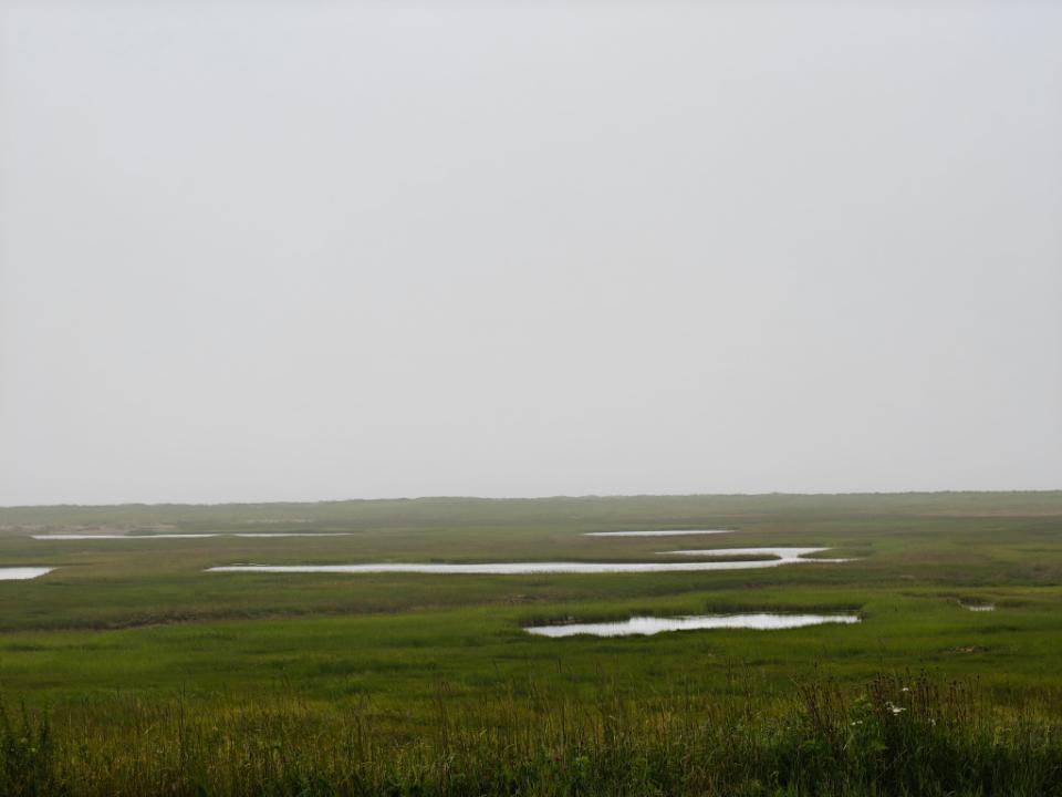 IMG20250725105513.jpg.3eec1460a98038b4b90389074a8c0daa.jpg