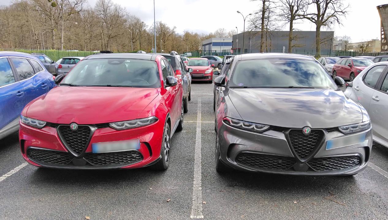 260206 - Duo TONALE 04 mfr.jpg