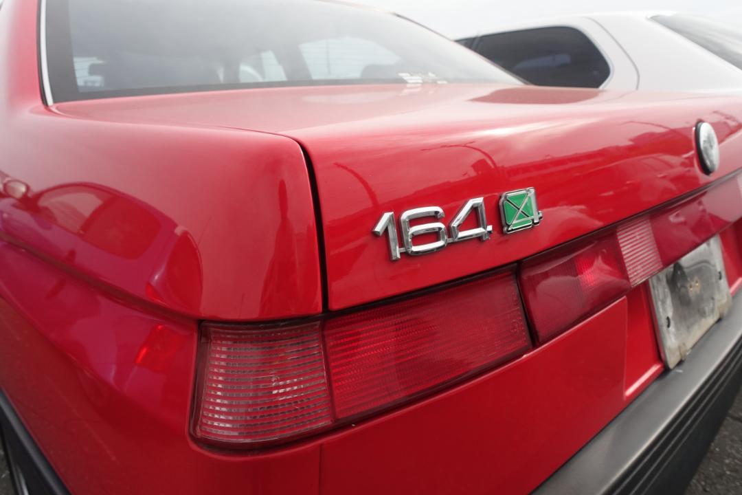 Alfa_175.JPG.1046dc14af3f5c27ffaa27357ed2207a.JPG