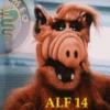 alf14